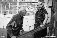 Jindrich Streit - 