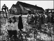 Jind�ich �treit - Ruda