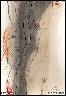 HER BODY I.