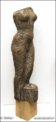 Borek Zeman - Standing