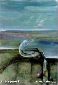 Zde�ka Burgetov� - Labut�