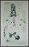 STRM�LKY