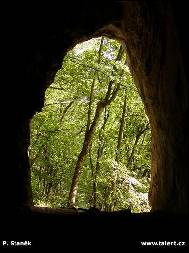 Petr Stanek - Cave