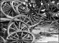 Petr Stanek - Wheels