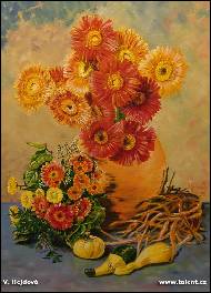 V�ra Hejdov� - Gerbery