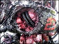 Jakub Cenkl - BIOTROJKOL detail