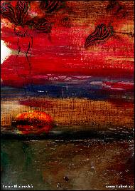 Lucie Blazevska - Accident