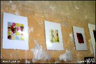 Lucie Blazevska - 