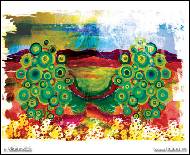Lucie Blazevska - 