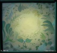 Petr Gilbert - FLora