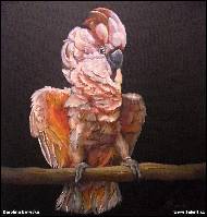 Karolína Borecká - Šťastný kakadu