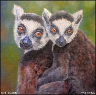 Karolína Borecká - Lemurs