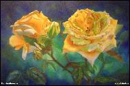 Karolína Borecká - Yellow roses
