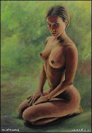 Sedici