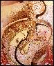 BALLET-DANCER