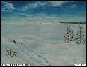 O P�NOVI, KTER� SE ZAB�HL