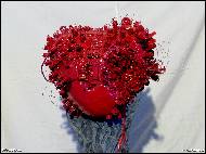 Robin Kraus - ... and the human heart ...
