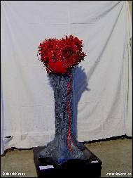 Robin Kraus - 