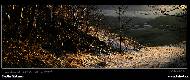 Martin Glatzner - 