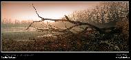 Martin Glatzner - 