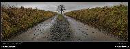 Martin Glatzner - 