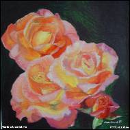 Martina Charvatova - roses