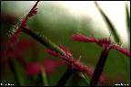 Obr�zek �.15