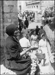 Josef Kral - 