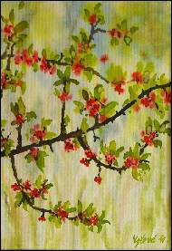 Mark�ta Soustru�n�kov� - Kv�ten �.1