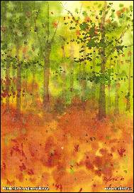 Markéta Šejnová - Autumn forest