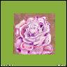 RَE FIALOV�