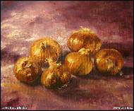 Jarka Drechslerov� - Cibulovit�