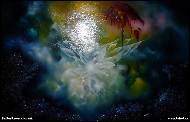 Radim Ranovic Nov�k - V�t�zstv� dobra a l�sky