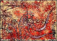 Peter Augustovi� - B�k