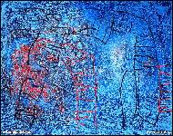 Peter Augustovi� - Jele�