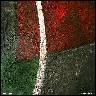 Linie