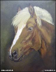 Zlaťa Vykrenti - Mladý Hafling