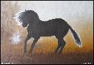 KON� 12. - V RANN� MLZE II.
