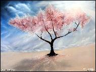 Alexander Khrapko - Cherry tree