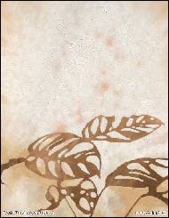 Doris Oplová - Bits of Thoughts