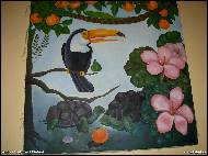 Andrea Svobodová Křešová - TOUCAN
