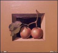 Eva Roverova - apples
