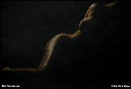 Eva Roverova - Studie figura