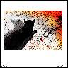 Cat and Storm
