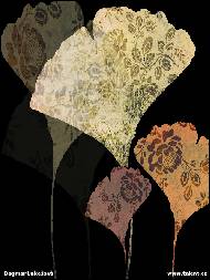 Dagmar Luke�ov� - GINGKO