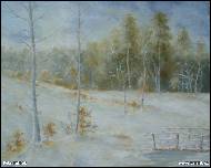 Petr Faf�lek - Zima