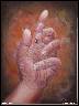 Mravenec lesn�