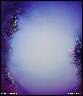 Nice Dreams