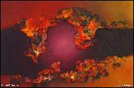 Robert Furbacher - 