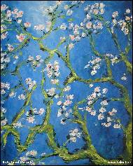 BcA. Josef Hamet - 